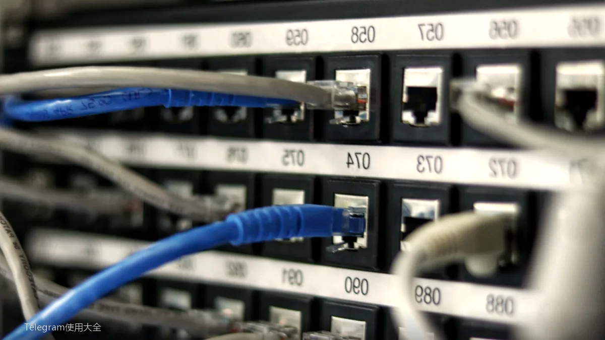 Telegram多设备同步教程配图 - 电报云同步的隐私：云端数据安全解析